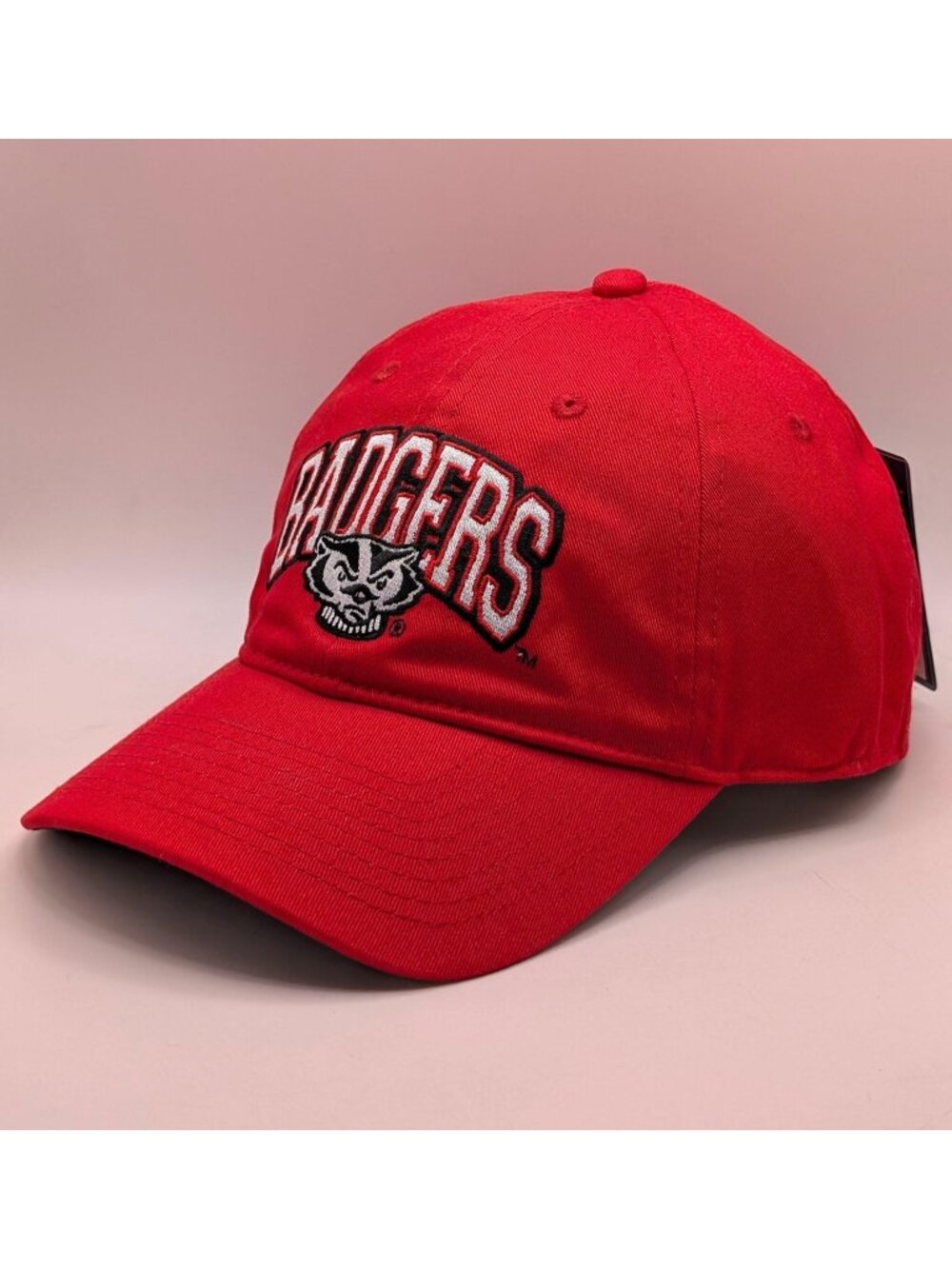 NWT Wisconsin Badgers Hat Adult Red Mascot Strap Back College University NCAA